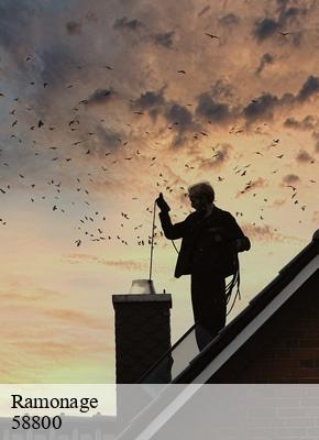 Ramonage la-collancelle-58800 HJ Ramonage